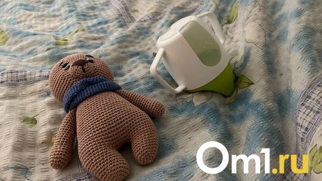 Стало известно где находится ребёнок омской блогерши Евы Абрамович, которая напала на медсестру