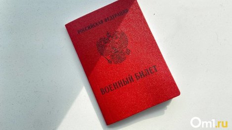 Госдума приняла законопроект о вручении электронных повесток и поправку об ограничении выезда из РФ