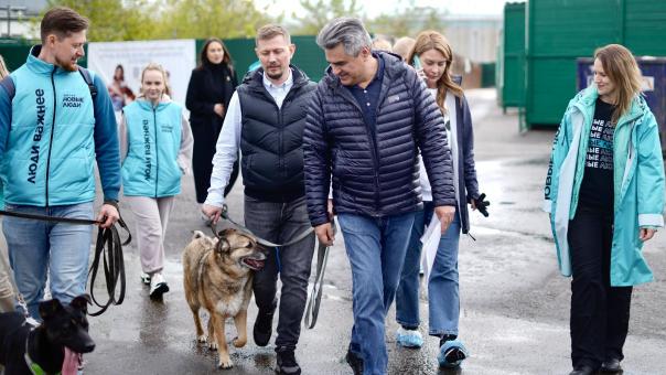 Остановить домашнее насилие, спасти животных, помочь матерям — топ-3 инициативы «Новых людей» для новосибирцев