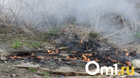 Огонь вплотную подошёл к жилым домам на севере Омской области