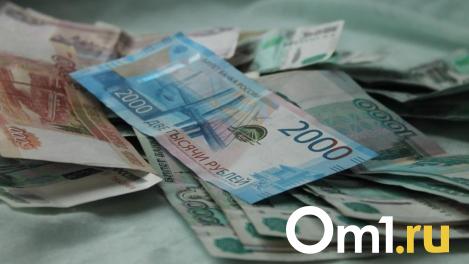 Директор омской фирмы два года не платил налоги и задолжал полмиллиарда рублей
