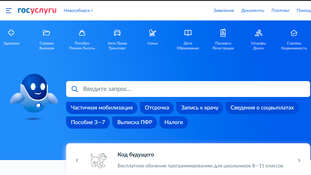 На «Госуслугах» начали приём жалоб на нарушения в рамках частичной мобилизации новосибирцев
