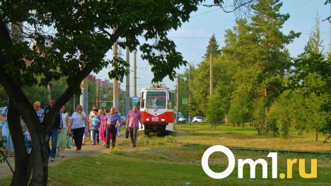 На следующей неделе в Омск придёт лето: ожидается потепление до +24 градусов