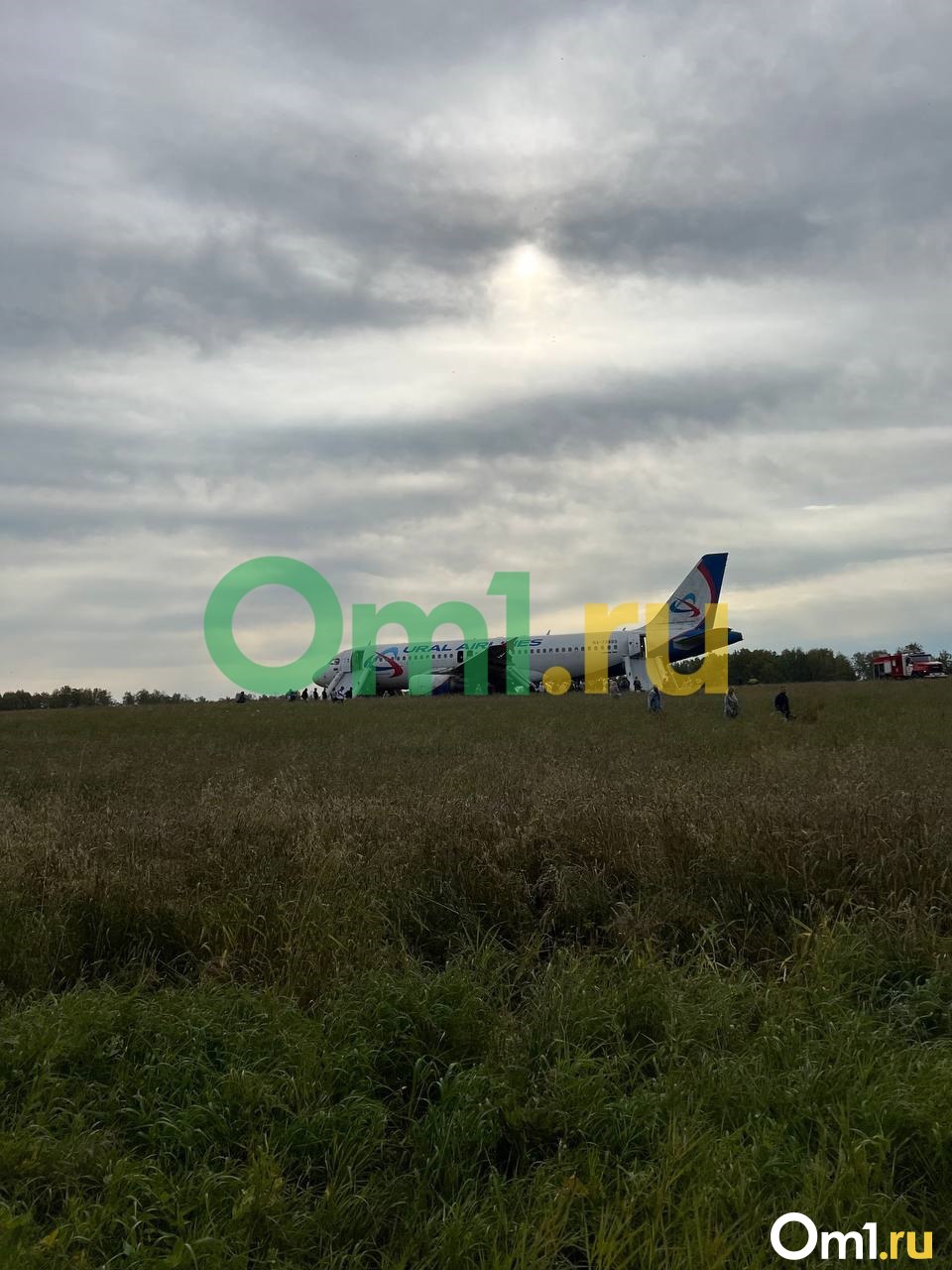 Появились фото с места аварийной посадки самолёта с омичами в поле
