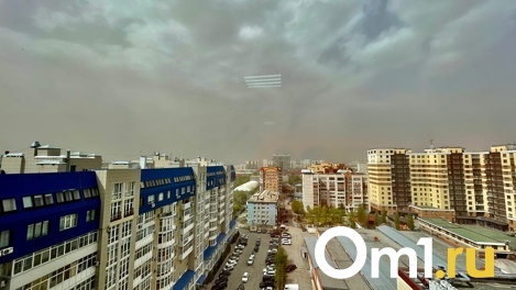 Этим мы дышим! В нескольких районах Омска зафиксировали загрязнение воздуха