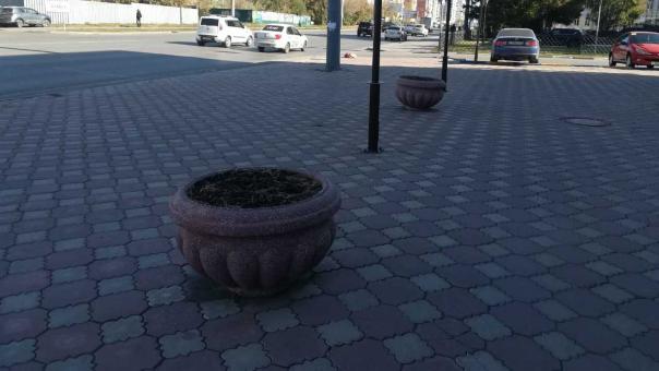 Омск покидают краски: городские клумбы очищают от цветов (Фото)