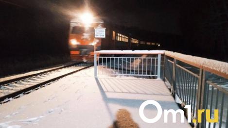 Омичам предлагают придумать названия 44 остановкам на железной дороге