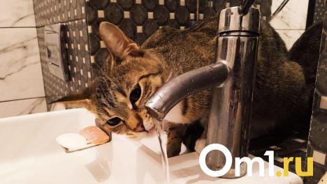 В Омской области ожидается масштабное отключение водоснабжения