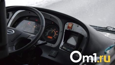 Из Омска в Казахстан отменили сразу четыре автобусных рейса