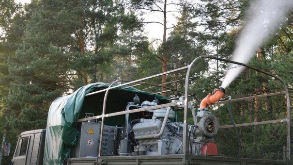Спасли лес от гусениц: в Новосибирске обработали почти 28 тысяч гектаров от лесных вредителей