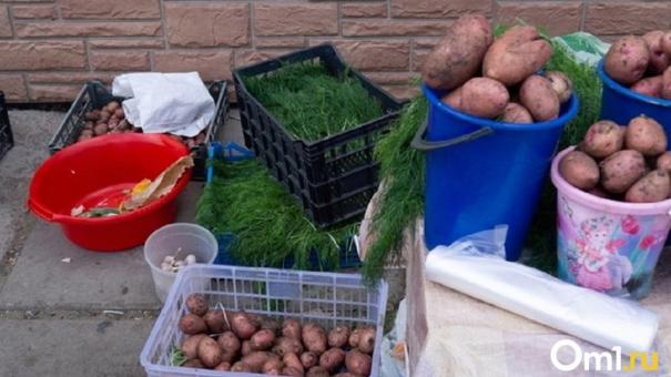 Рекордные с 2018 года показатели. Урожай картофеля в Омской области увеличился почти на 15%