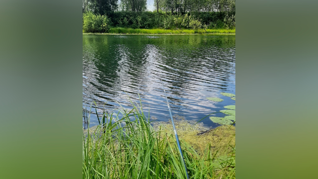 Новосибирец поймал в местном водоёме редкую рыбу