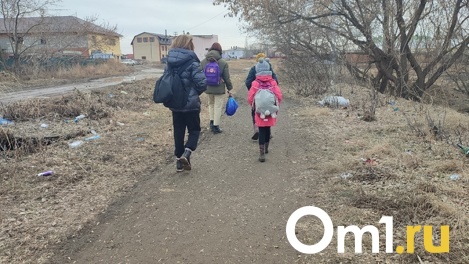 «Так и живём по уши в грязи». Жители поселка Новоомский ходят в школу через дамбу и скидываются на ремонт дорог