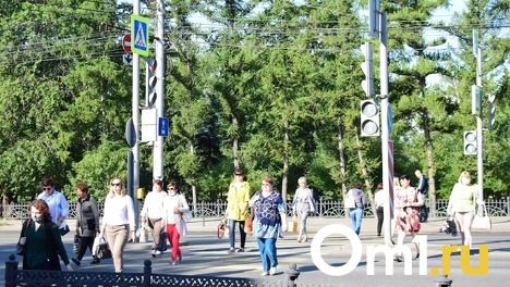 Переходить будем? В Омской области сбили пешехода, который выбежал на дорогу