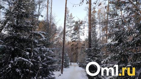 Стало известно, какой будет погода в Новосибирске на День защитника Отечества