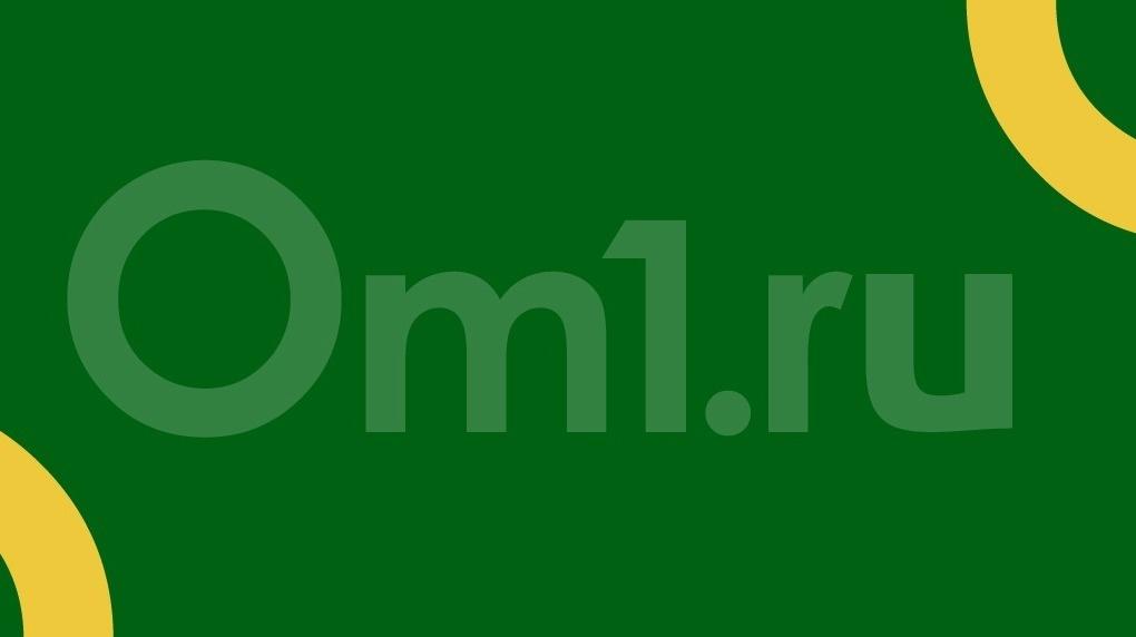 Молодая овчарка погибла из-за обрыва ЛЭП в Новосибирской области