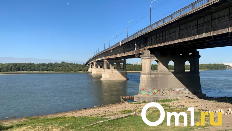 Водителя грузовика, насмерть сбившего пенсионерку на Иртышской набережной, могут посадить на пять лет