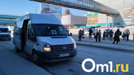 Водитель не виноват: почему новосибирцы сами толкали заглохшую маршрутку, пояснила мэрия