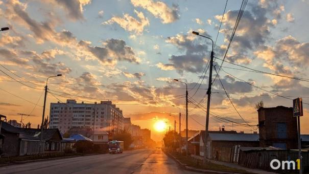 В конце марта на Омскую область обрушится новая напасть