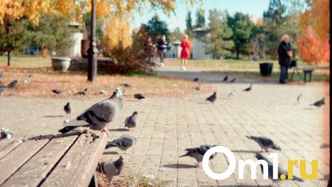Как выглядит Омск на плёночном фотоаппарате из СССР? Вот что получилось