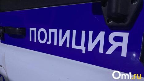 Четырёхлетний омич выбежал из-за припаркованного авто и попал под колёса