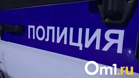 Сбил и скрылся: омские полицейские ищут водителя, из-за которого погиб пешеход