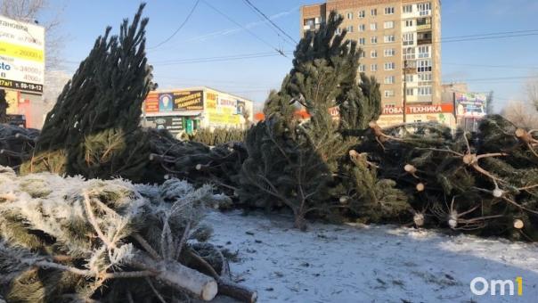 Ёлочные базары не открылись в Омске с 1 декабря