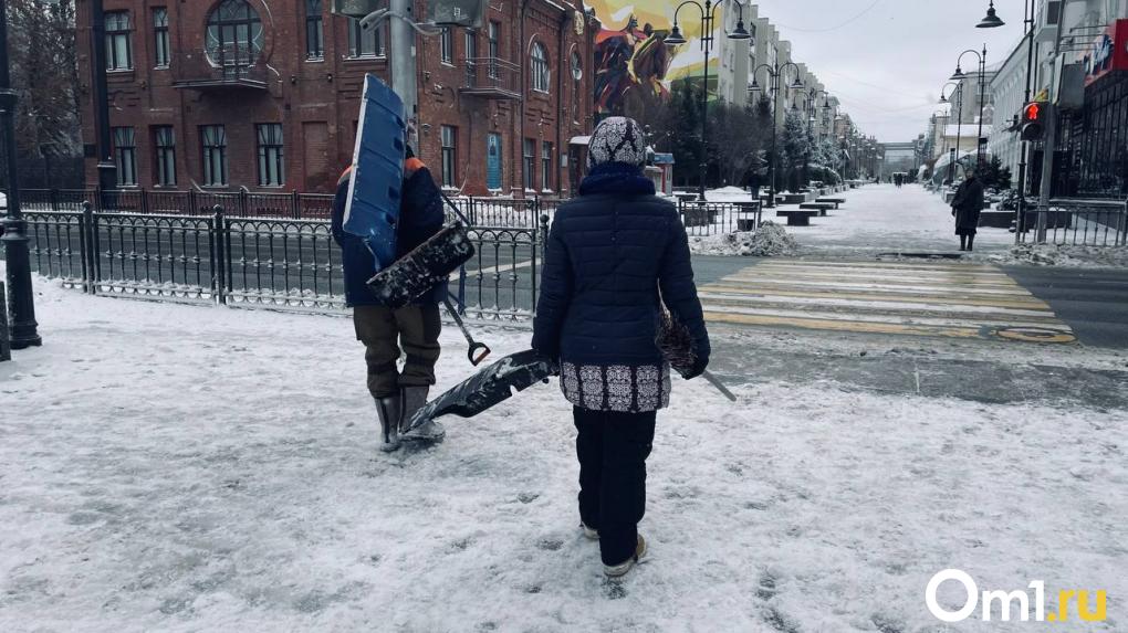 В Омск пришла зима. Последствия мощного ночного снегопада