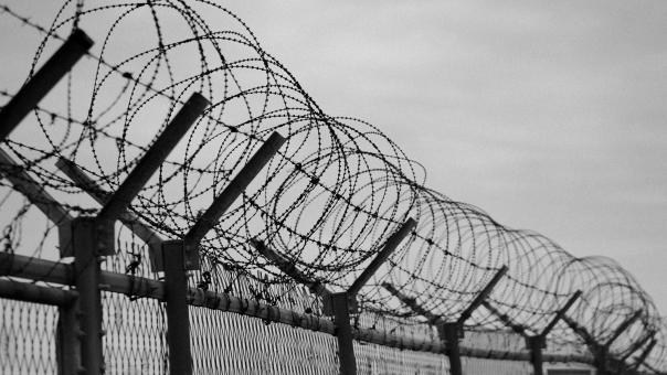 В Омске решается вопрос о помиловании заключенных за участие в СВО
