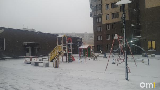 Назван день, когда окончательно ляжет снег в Новосибирской области
