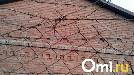 Омичу, который до смерти избил жену в канун Рождества на глазах у ребёнка, дали девять лет заключения