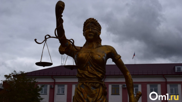Адвокат рассказал о возможных последствиях для зачинщика детской поножовщины в Бердске