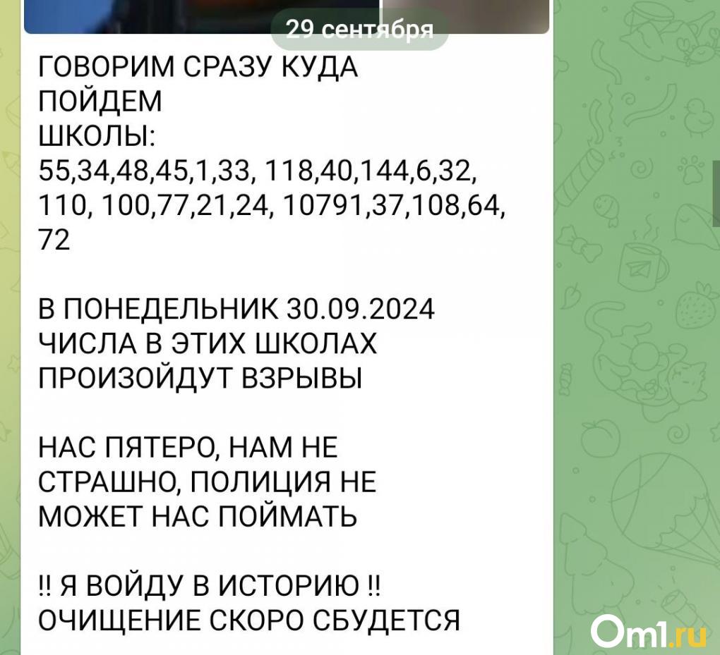 Омский Телеграм заполонили живодëрки и стрелки. Это фейк или реальная опасность?