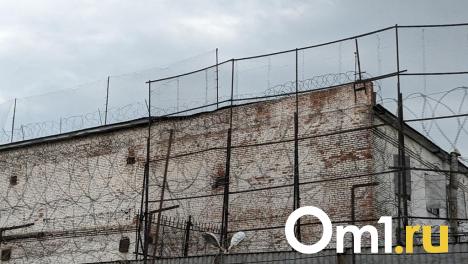 Жителю Омской области вынесли приговор за финансирование терроризма