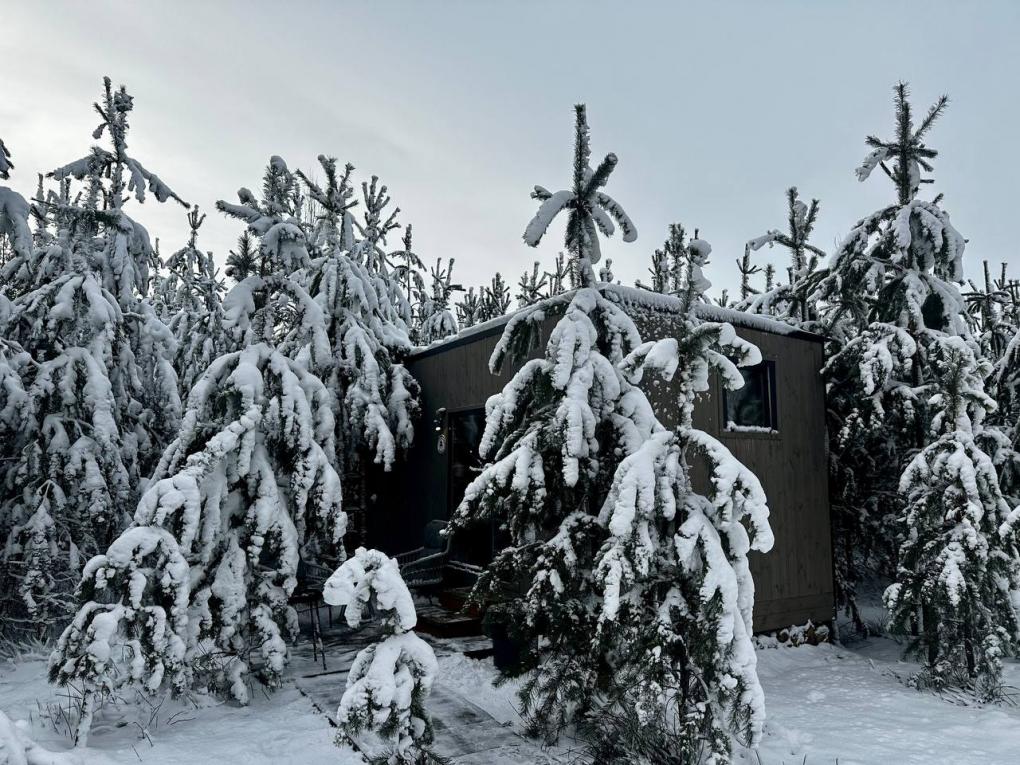 Forest House — идеальное место для отдыха: русские бани, первые модульные домики в Омске и атмосферный бар «В глуши»