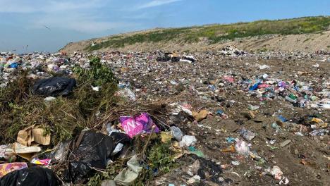 Убил и лёг спать: жуткие подробности убийства пенсионерки в Новосибирске