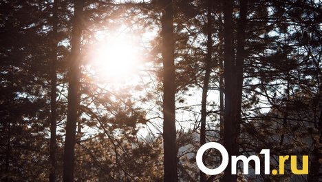 В Новосибирске ожидается потепление до +15 градусов на выходных