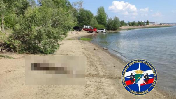 В Новосибирске мужчина утонул в реке Оби во время купания с ребёнком
