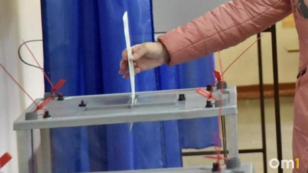 Более 462 тысяч жителей Новосибирской области проголосовали в первый день выборов президента