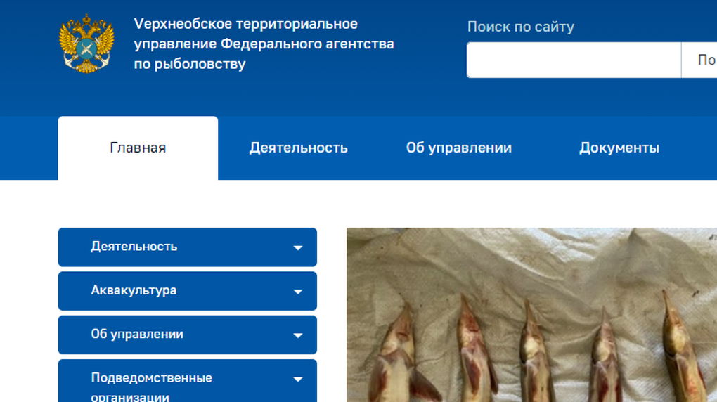 Литера V появилась в названии управления по рыболовству в Новосибирске