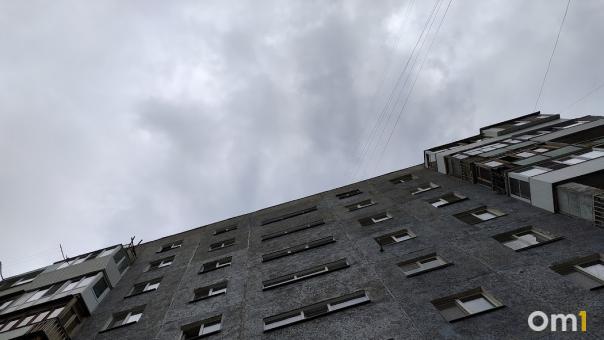 Омскую станцию контроля качества воздуха стоимостью 10 миллионов сломали