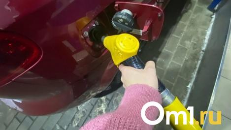 В Омской области за 12 миллионов продают сеть АЗС с СТО и магазинами