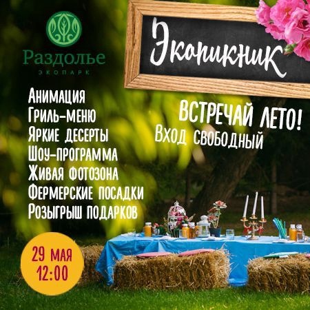 На ближайших выходных омичей зовут на бесплатный пикник