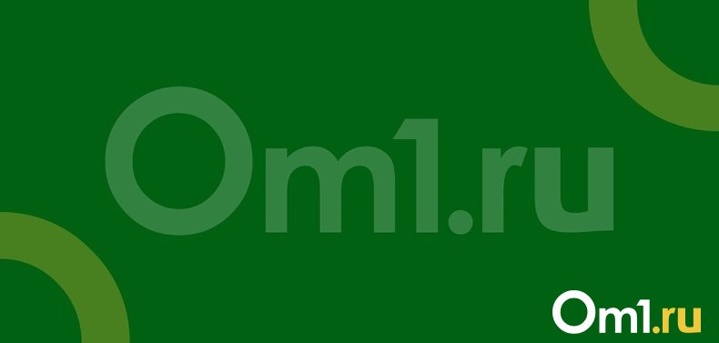 На майских праздниках в Новосибирской области могут запретить жарить шашлык на природе