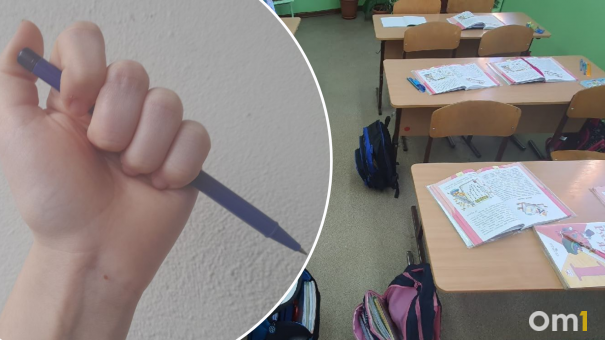«Стал говорить, что она дурочка»: новосибирская школьница воткнула ручку в лоб однокласснику