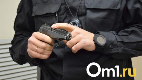 Мужчину обвиняют в стрельбе с балкона в Бердске Новосибирской области