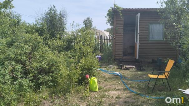 Три причины, почему не плодоносит яблоня — рассказываем, как получить хороший урожай