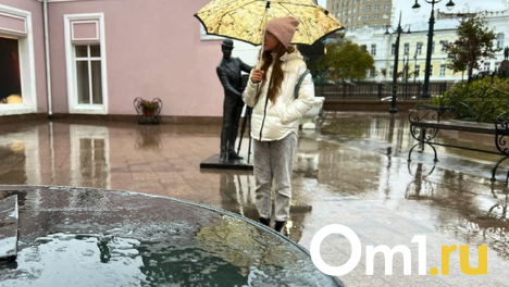 В Новосибирской области ожидается аномально дождливая осень