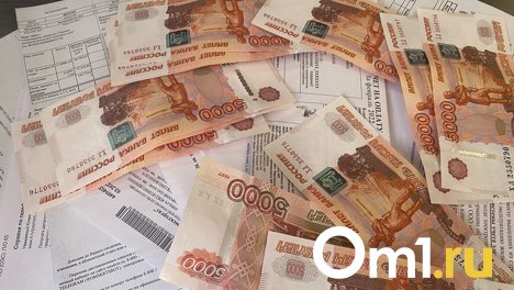 Житель Новосибирской области заплатил долг в 300 тысяч рублей, чтобы улететь в Турцию