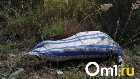 Житель Омской области убил коллегу и пытался сжечь его труп